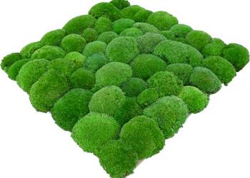 Panel z mchu poduszkowego PREMIUM Medium Green na wymiar