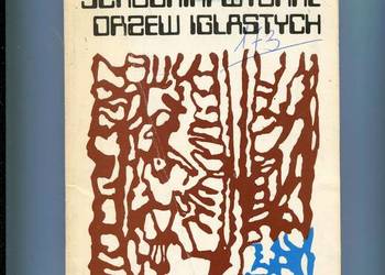 Szkodniki wtórne drzew iglastych - Bilczyński