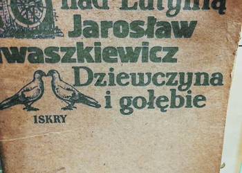 Iwaszkiewicza Młyn nad Lutynią outlet szkolny książki