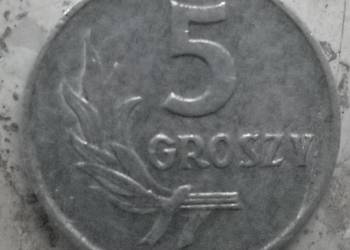 POLSKA-5 GROSZY-1962 r (b.z.)-AL-