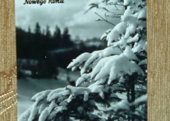 WESOŁYCH ŚWIĄT I SZCZĘŚLIWEGO NOWEGO ROKU - FOT. SKARŻYŃSKA WESOŁYCH ŚWIĄT I SZCZĘŚLIWEGO NOWEGO ROKU - FOT. SKARŻYŃSKA