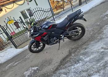 Zip Arrow Fly 125 / 2015r.