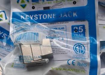 Moduł Keystone Jack Rj45 Kat. 6 A, Beznarzędziowy  alan-tec