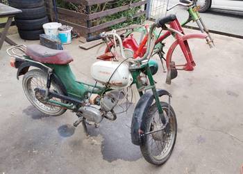 Komar Wierzchowina Riga Pakiet cena za Całość