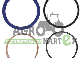 AH214615 ZESTAW USZCZELNIEŃ SIŁOWNIKA fi100 JD