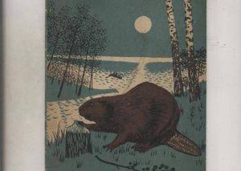 Pasłęka uwodzi bobry Pasłęka uwodzi bobry