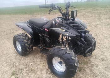 quad 250 manual w cenie roweru transport gratis
