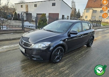 Kia Cee'd Opłacona Zdrowa Zadbana Serwisowana z Klimą LIFT Po Serwisie 1 W…