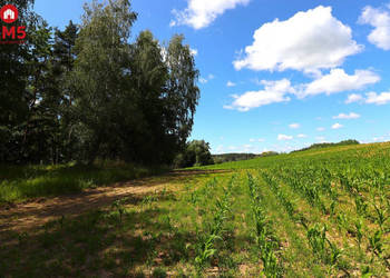 Sprzedam działka 1273m2 Rożyńsk Wielki