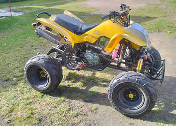 Bashan 200 zarejestrowany