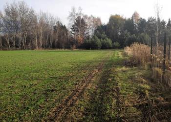 Sprzedam działki budowlano-usługowe w Lubiejewie, gm. Sochaczew
