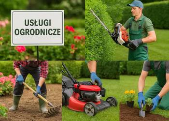 Cięcie i pielęgnacyjne drzew, na działce i w ogrodzie, Wrocław, gałęzi
