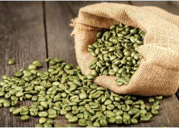 ZIELONA ROBUSTA 100%