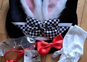 Kostium Królika z Krainy Czarów