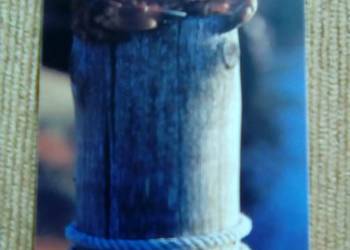 CRAB NA KARCIE TELEFONICZNEJ