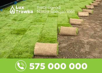 Trawa z rolki | Dostawa na terenie całej małopolski