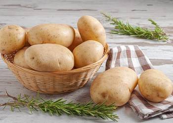 Ziemniaki bellarosa Soraya