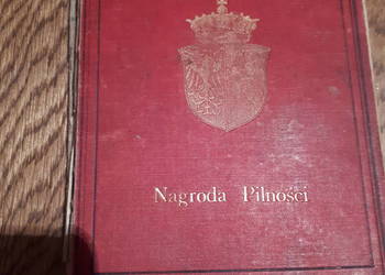 Dzieje Polski do najnowszych czasów Poznań  1895