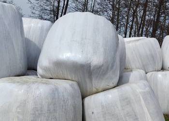 Baloty sianokiszonki