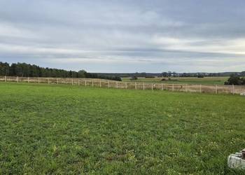Wyjątkowa działka 3200 m² z Warunkami Zabudowy – skraj Puszczy Noteckiej!