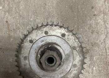 Zabierak 175