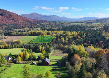 Grunt Krzywe 10100m2