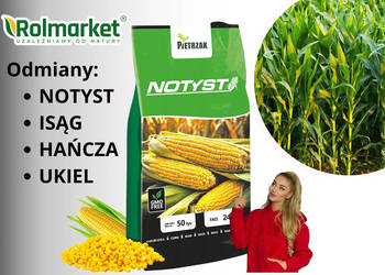 Nasiona kukurydzy na kiszonkę kiszonkowa NOTYST kukurydza 50 tys nasion