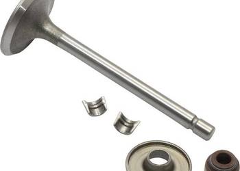 Zawór ssący 845712