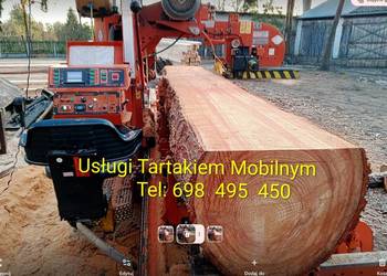 Tartak mobilny trak taśmowy przejezdny.