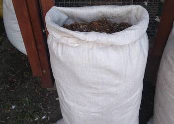 Nawóz naturalny. Obornik od gołębi.