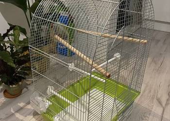 Klatka dla ptaka kanarka/papugi