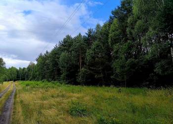 Działka budowlana Tumlin Osowa 2480m2 gmina Zagnańsk koło Kielce