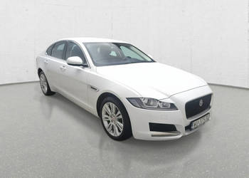 Jaguar XF Poleasingowe.pl ECR X260 (2015-)