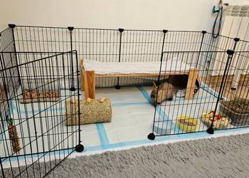 Kojec dla królika wybieg wewnętrzny klatka metalowa DIY