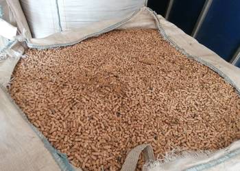 Pellet Pelet Sosnowy 7mm | Wysoka Kaloryczność | BIG BAG 1700zł/t
