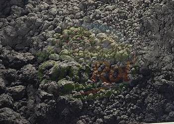 Ustabilizowany Osad Ściekowy