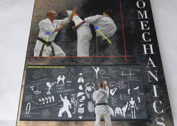 SHIHAN KRON - Technical Biomechanics of Karate UNIKAT/ Oyama, Kyokushin
