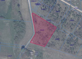 Działka 194/9 w Ełganowie