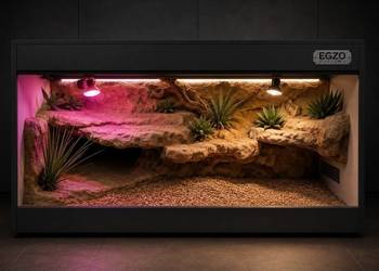 Terrarium hodowlane dla żółwia greckiego agamy brodatej