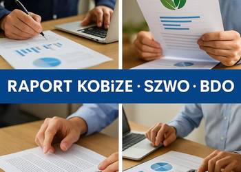 Raport Kobize,Warszawa, Łódź, Kraków, Wrocław, Poznań, Gdańsk, Szczecin,