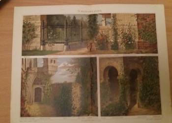 Stara niemiecka rycina z Meyers Lexikon z 1897 roku
