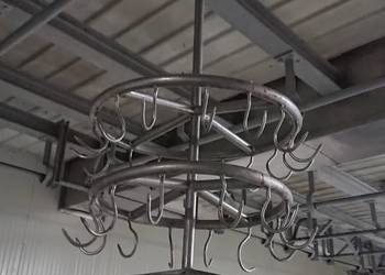 Choinka na podroby lub elementy mięsa Choinka na podroby lub elementy mięsa