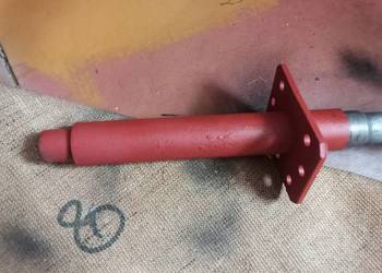 Bizon wałek ślimaka