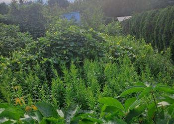 Oferta sprzedaży gruntu 1500m2 Izabelin C