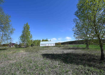 Duża działka na leśnym osiedlu w Miłoszycach!