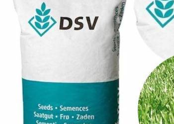 DSV Country 2060 PowerMix - mix 3 odmian lucern