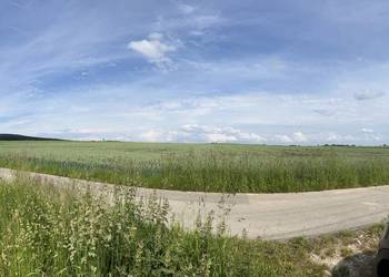 Pole orne, działka orlna