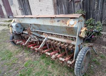 Siewnik poznaniak Siewnik poznaniak