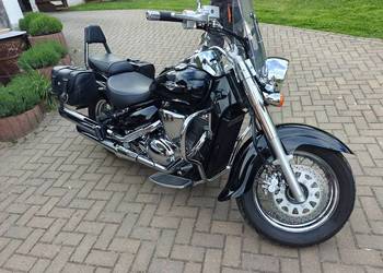 Suzuki C 800 Intruder