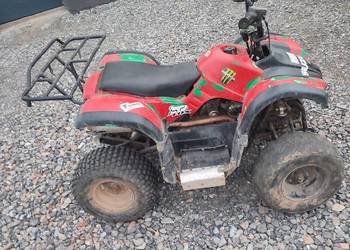 Quad 110 plus wteczny